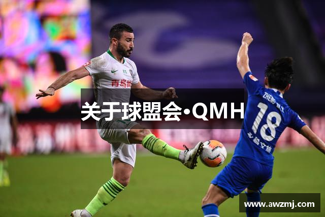 关于球盟会·QMH